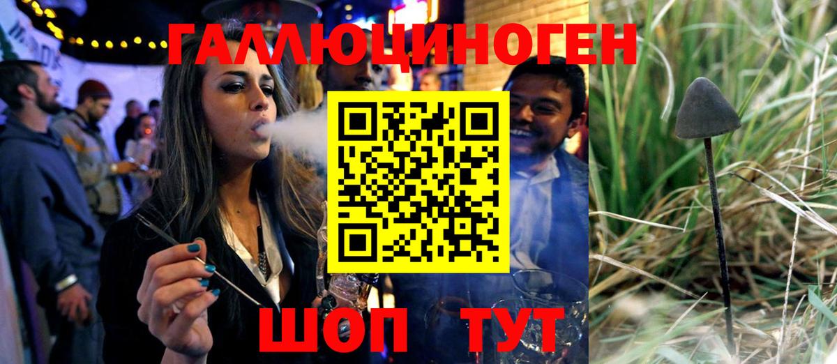 сколько стоит  Вход с VPN  Нальчик  Галлюциногенные грибы Cubensis 