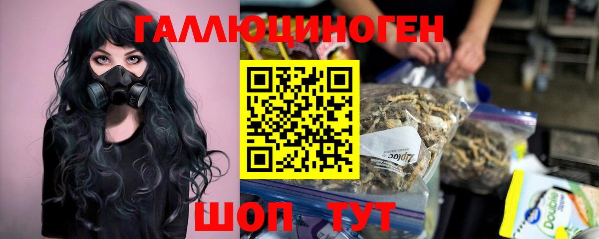 Галлюциногенные грибы прущие грибы Нальчик